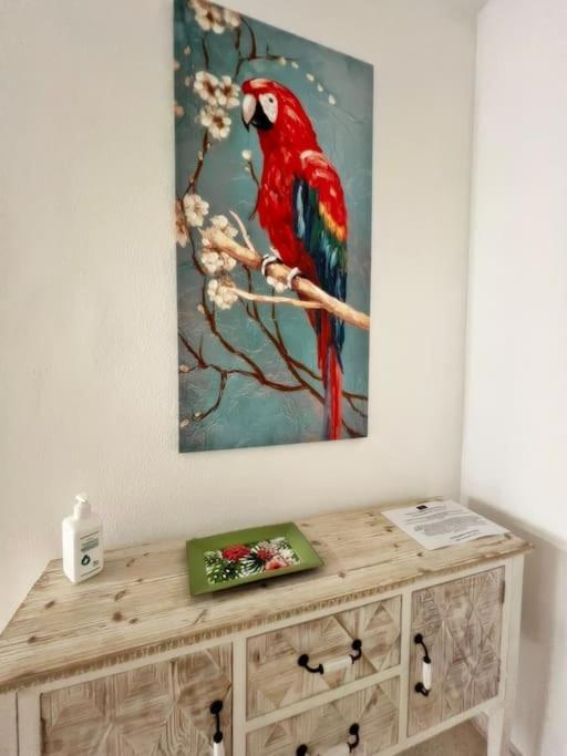 Magnifico Apartamento En El Centro De 丰希罗拉 外观 照片